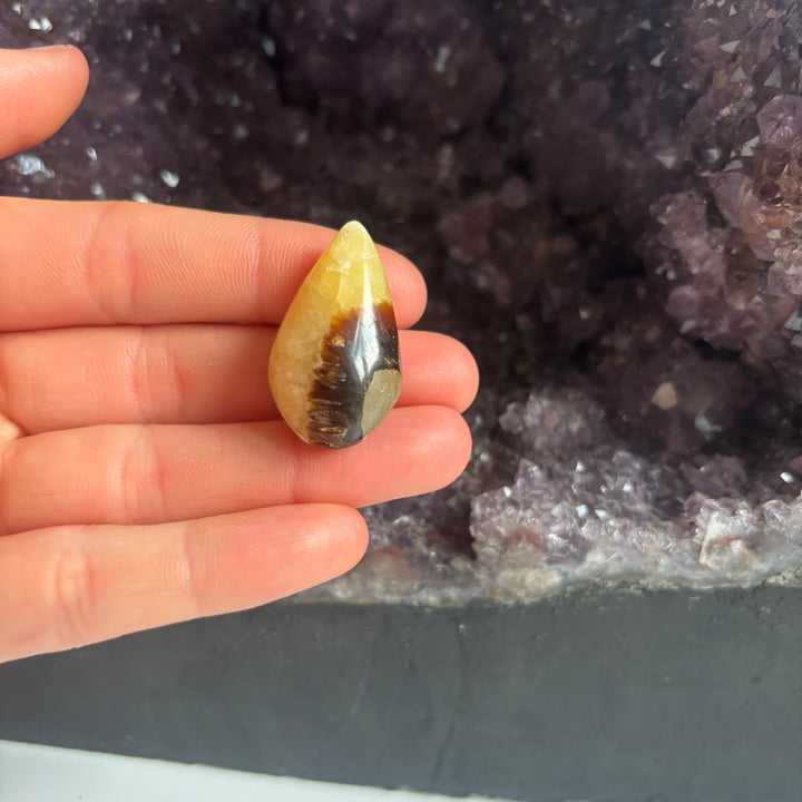 An open hand presenting the tiny imperfect septarian jasper tear drop pocket stone vertically indoors, illustrating its pocket-sized lifestyle proportions and rich earthy patterns from the Quirky Corner clearance collection.
