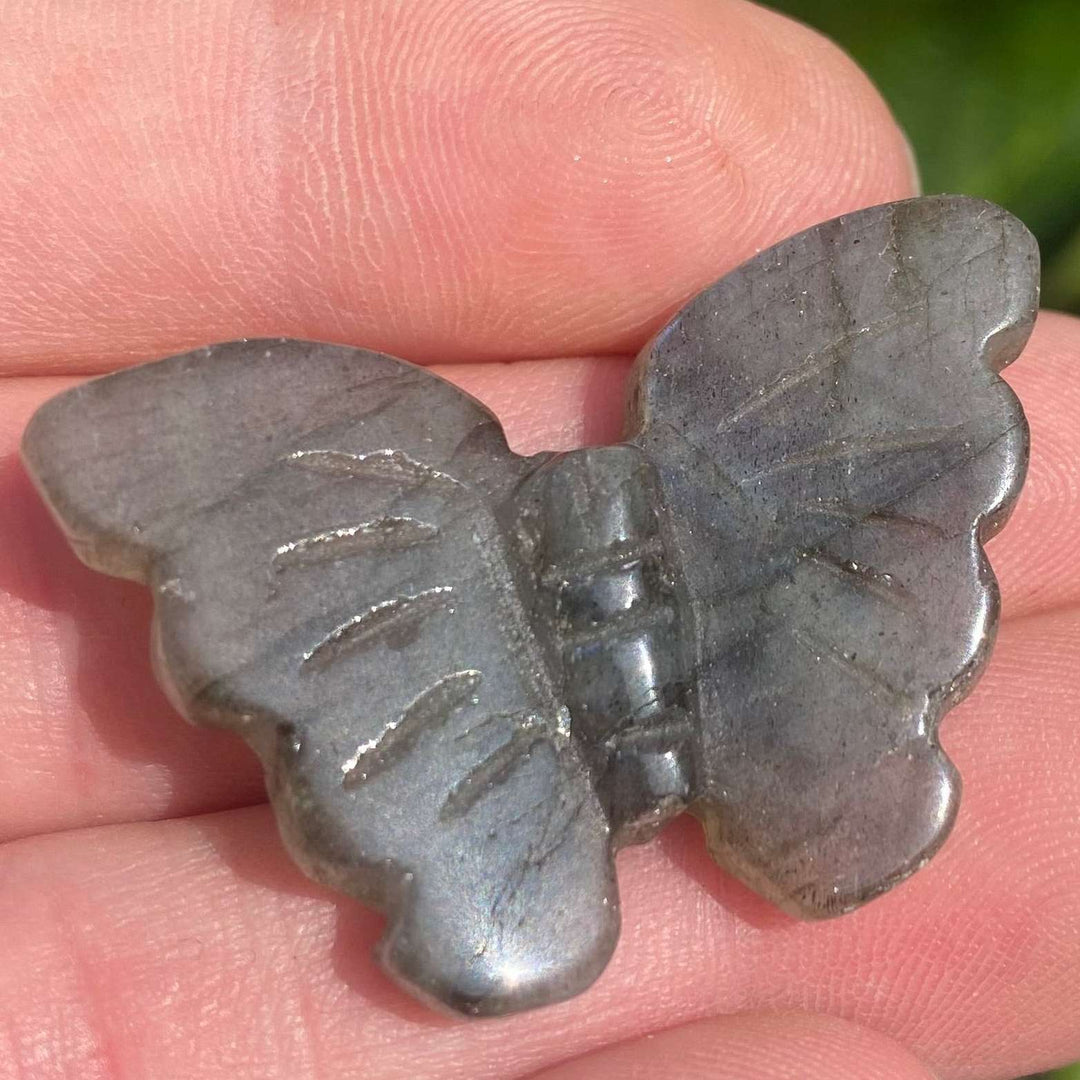 A close-up view of a hand-carved labradorite butterfly crystal held gently on fingertips. The detailed, polished wings display a subtle smoky grey texture with a delicate, soft flash that catches the light beautifully, highlighting its connection to transformation and third eye chakra energy.