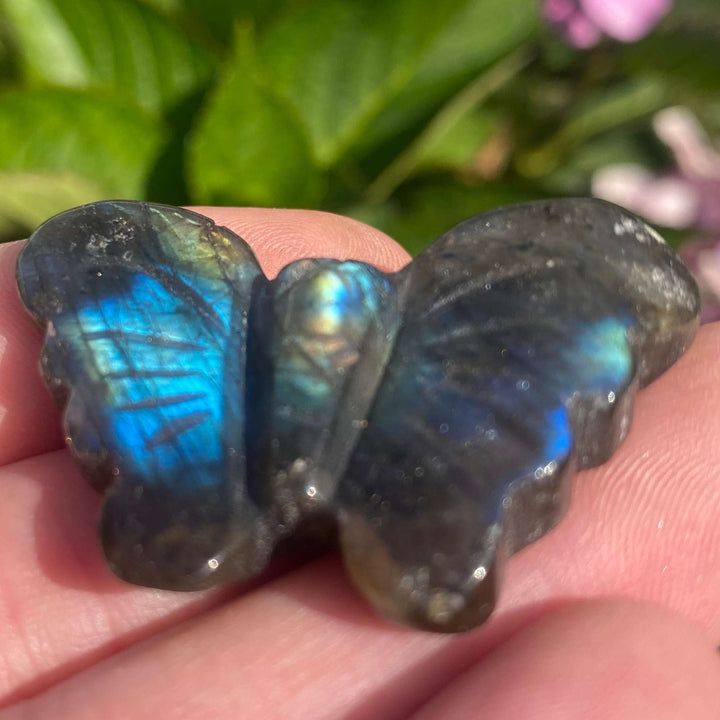 A macro close-up view of a hand-carved labradorite butterfly crystal resting on fingers. The smoky grey wings feature a highly pronounced iridescent blue and gold flash that sweeps across the detailed, polished surface, highlighting its third eye chakra alignment and mystical properties.