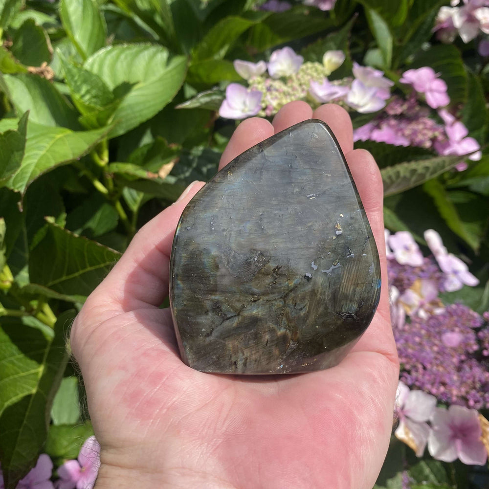 A side profile view of the thick Labradorite freeform stone block held in a hand outdoors. The shot displays the mineral’s organic tapering curves and smooth polished edges against green garden foliage, highlighting this beautiful crown chakra crystal chosen with intention.

