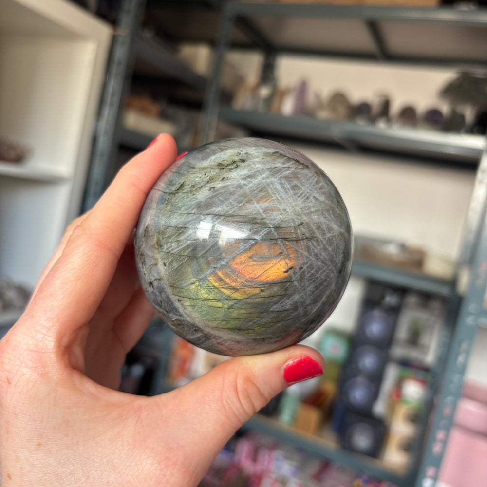 A side view of a hand holding the weighted, perfectly rounded grey labradorite polished sphere, capturing a warm copper flash reflecting under shop ambient lighting to highlight its unique geological veining patterns.