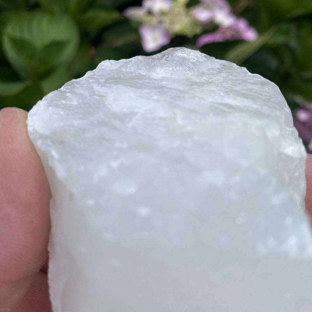 A pulled-back perspective of the large raw White Quartz crystal chunk held up against an outdoor backdrop of green garden leaves. This composition showcases the impressive scale and bright, commanding presence of the raw crystal for a home sanctuary.
