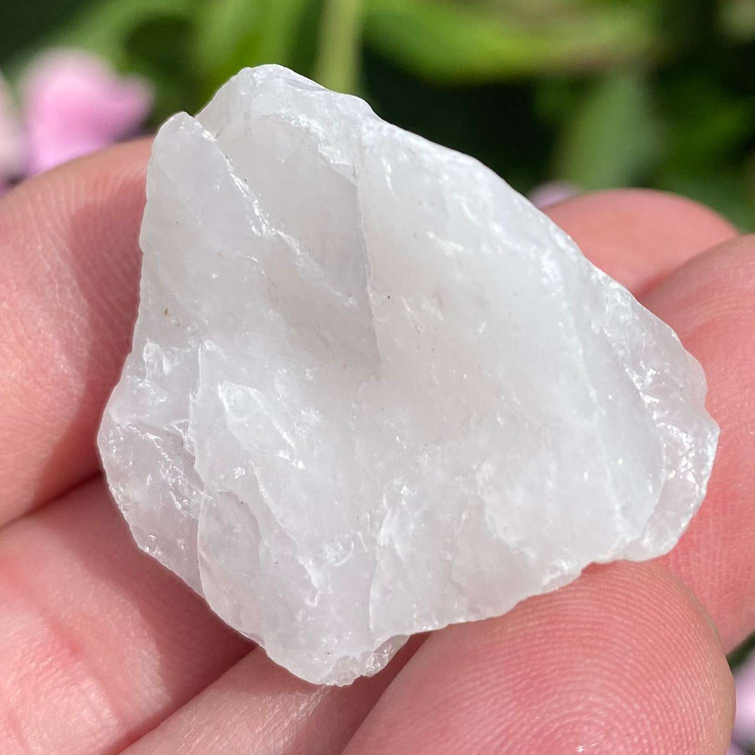 A final side profile perspective of the milky white quartz rough specimen cradled in an open hand against green garden foliage. The frame illustrates the raw crystal's honest texture and clear resonance, designed to reset stagnant frequencies and untangle chaotic thoughts.
