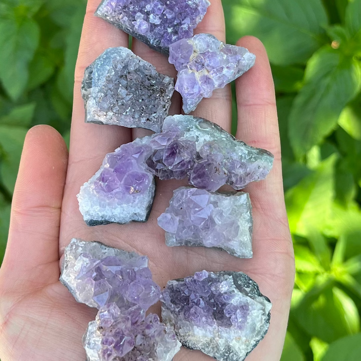 A detailed close-up shot of several raw mini Amethyst clusters cradled across an open palm outdoors. The unpolished geological specimens reveal tiny, shimmering deep purple and lavender quartz points growing from a rugged grey and white rock matrix base, set against a background of green garden foliage.