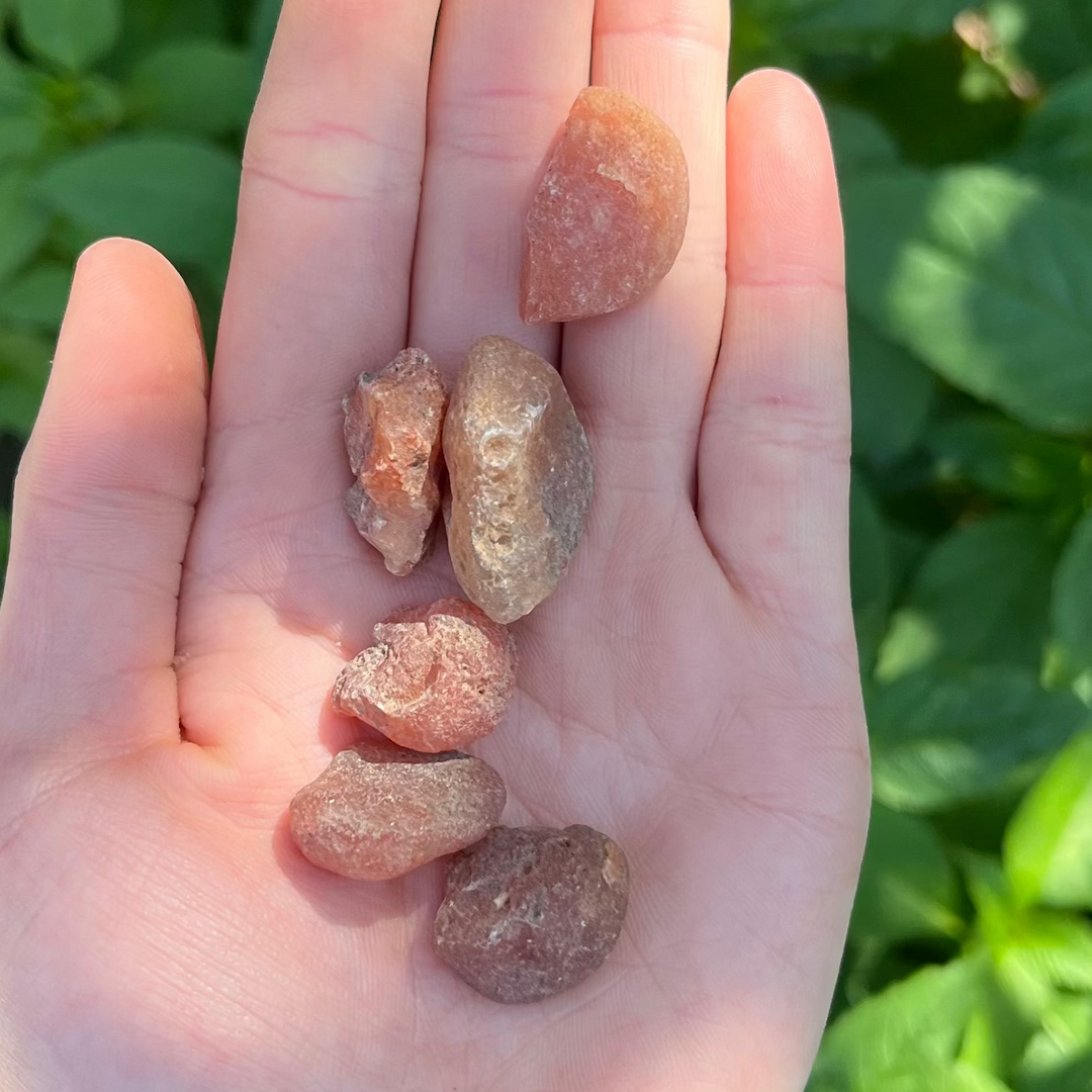 An open hand cradling six mini raw carnelian crystal chunks outdoors, showcasing their rugged unpolished surfaces, unique rocky craters, and fiery sunset shades of orange and red against a blurred backdrop of green garden leaves for Sacral Chakra alignment.