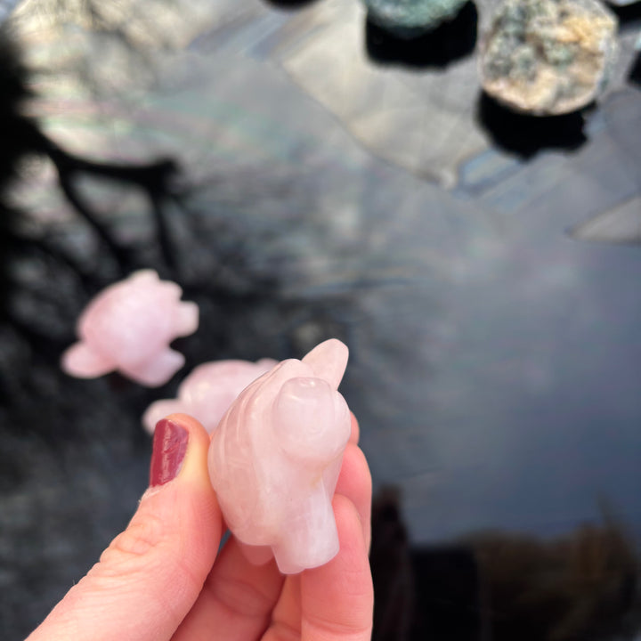 A close-up view of a single small carved pink rose quartz turtle held between fingertips to showcase its polished edges.