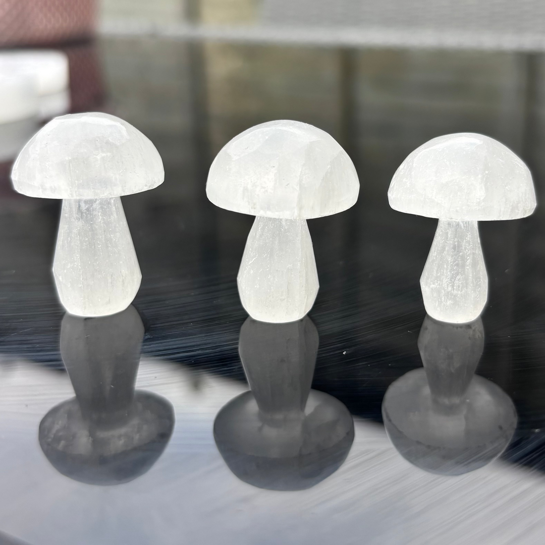 Three polished mini selenite mushroom crystal carvings standing upright on a glossy dark surface, showcasing their translucent white composition, fibrous lines, and clean reflections to invite fresh clarity and Crown Chakra alignment.
