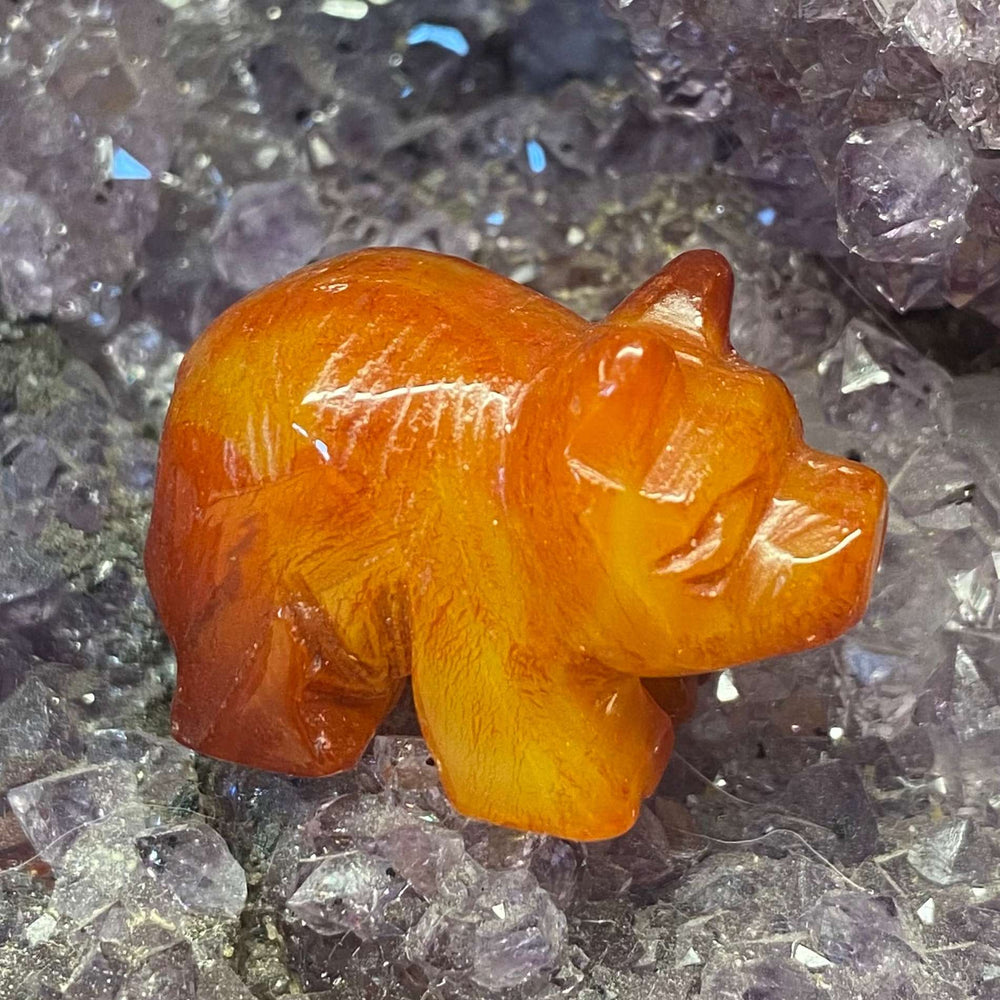 A slightly distant shot showcasing the full profile of the miniature carnelian crystal pig carving. The smooth stone features fiery swirls and sun-kissed colouring that catches the light beautifully against a raw violet background, perfect for a cosy workspace or bedside table.