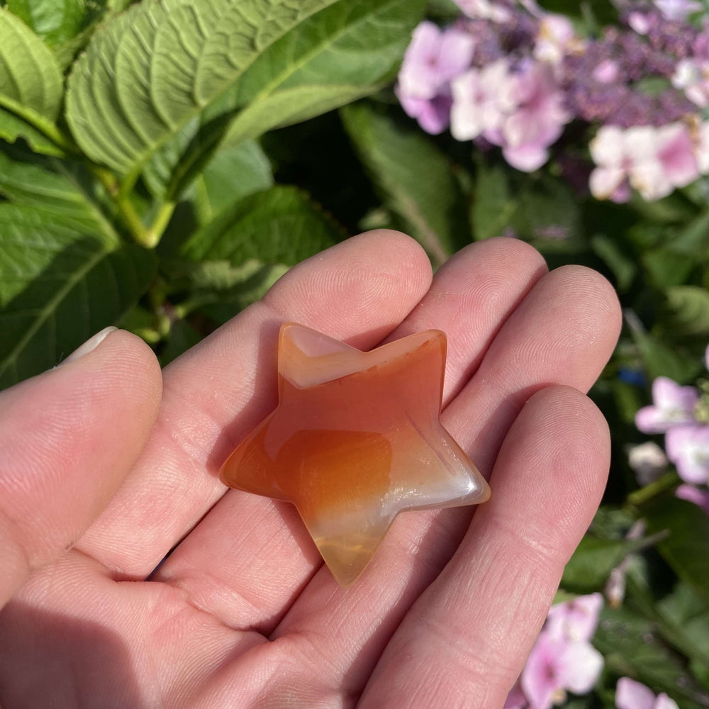 A slightly distant handheld shot displaying the miniature carnelian star carving held flat in a palm outdoors. The smooth carnelian stone catches the sunlight beautifully, set against a blurred garden background of green foliage and pink flowers.