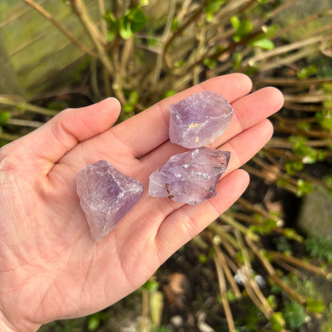 A slightly wider outdoor shot of a hand holding three raw purple Amethyst points over garden bushes. The layout frames the organic, earth-mined feel of the miniature specimens, showcasing their portability for meditation pouches and bedside placement.