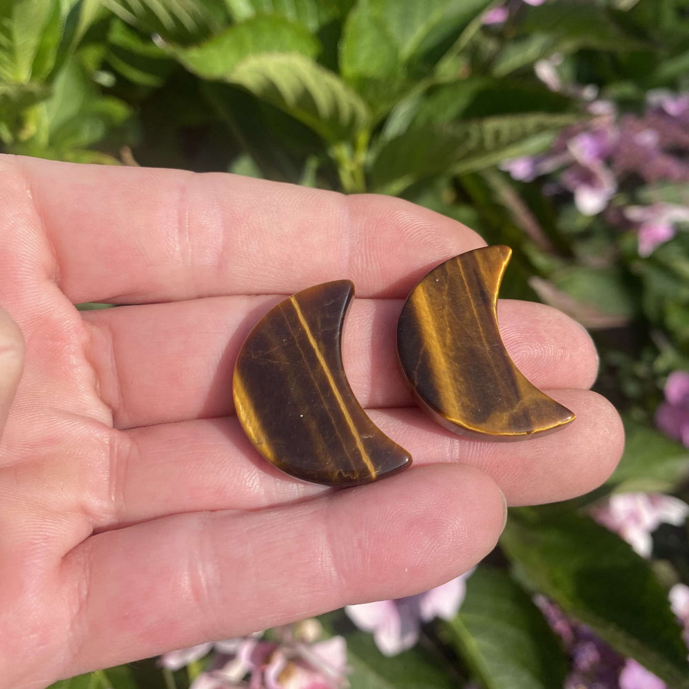 A slightly distant shot of an open palm holding two miniature tiger eye crystal crescent moon carvings outdoors. The earthy tones of the 3cm stones contrast beautifully against a blurred garden background of green foliage and soft pink flowers, highlighting their radiant solar plexus energy.
