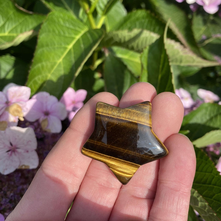 A slightly distant handheld shot displaying the miniature tiger eye star carving held flat in a palm outdoors. The smooth gemstone catches the daylight beautifully, framed against a blurred garden backdrop of lush green leaves and pale pink flowers.
