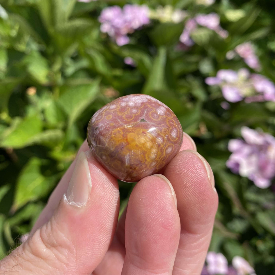 A close-up view of a polished round ocean jasper tumble stone held between fingers, showing off its natural orbicular patterns and mottled earthy colors against a blurred background of green leaves and pink flowers.
