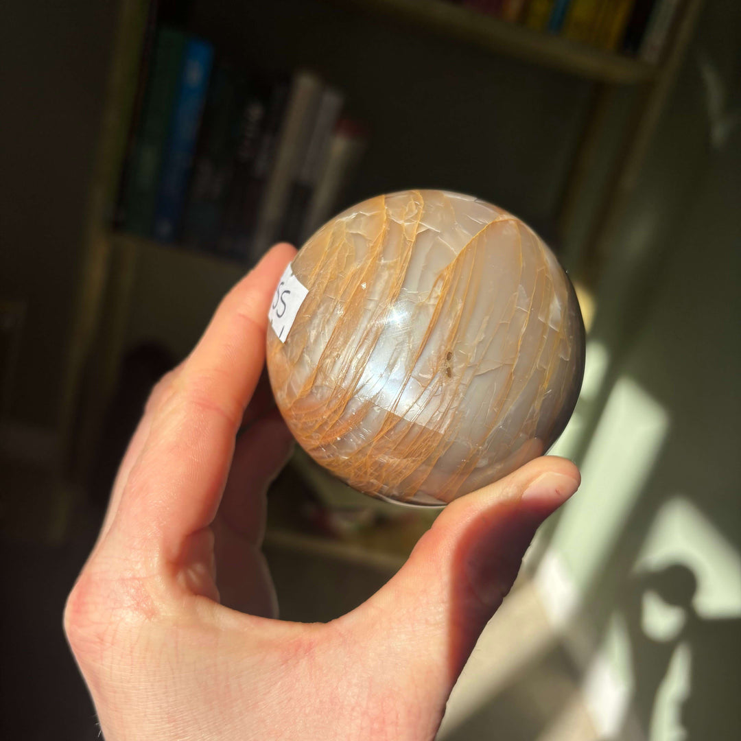 A hand holding a polished Peach Moonstone crystal sphere indoors, showcasing its glossy surface and unique brownish apricot colour patterns catching bright natural sunlight rays.