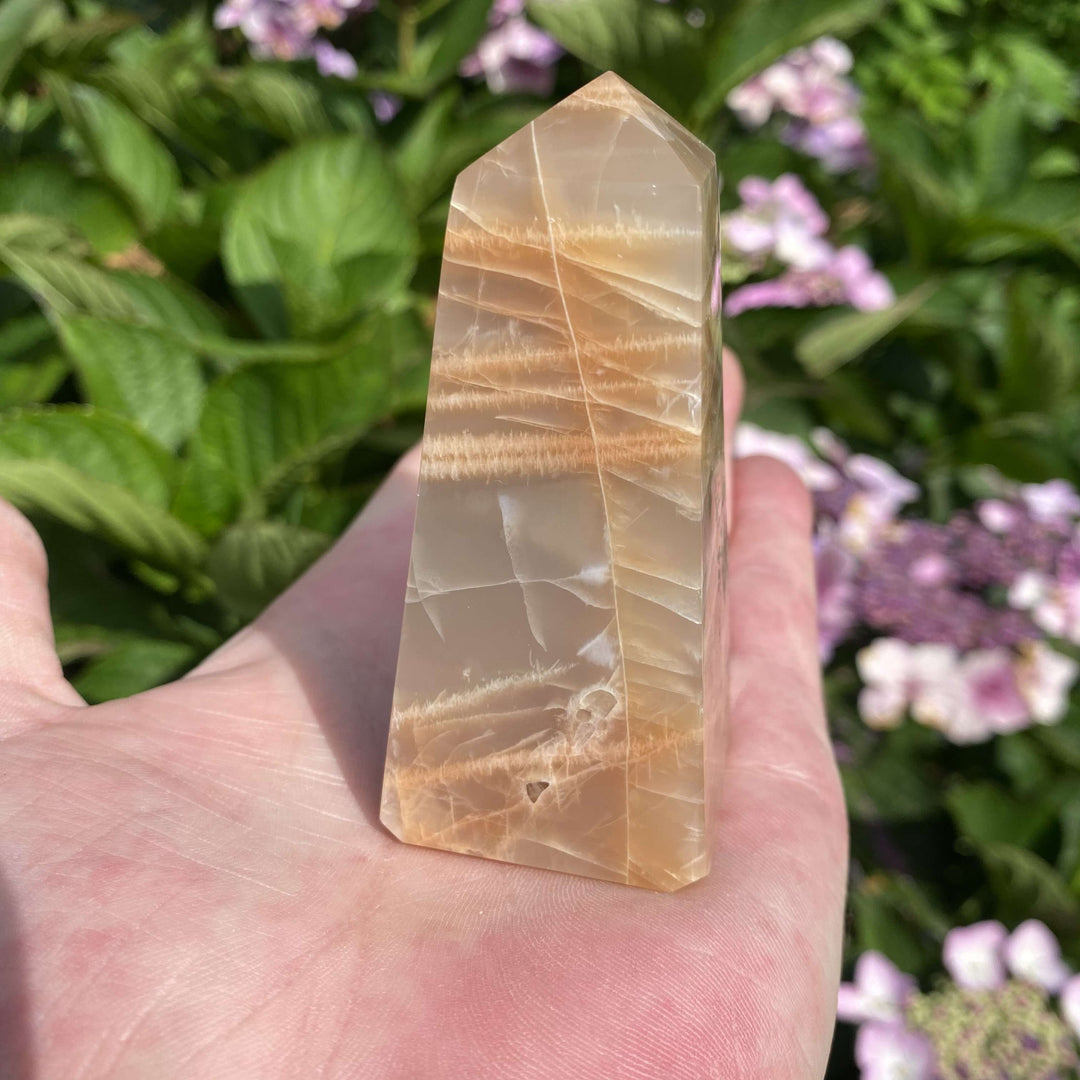 A close-up view of a polished Peach Moonstone crystal tower held in an open hand, showcasing its natural beige and light brown banding against a soft background of green leaves and purple flowers.
