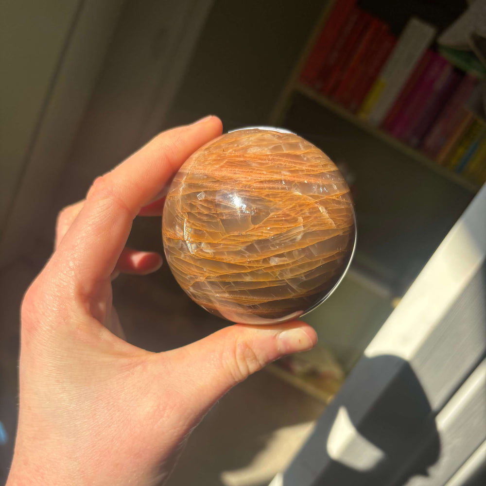 A hand lifting the polished Peach Moonstone orb at an angle, displaying its warm apricot hues and natural earthy layers under a bright patch of sunlight.