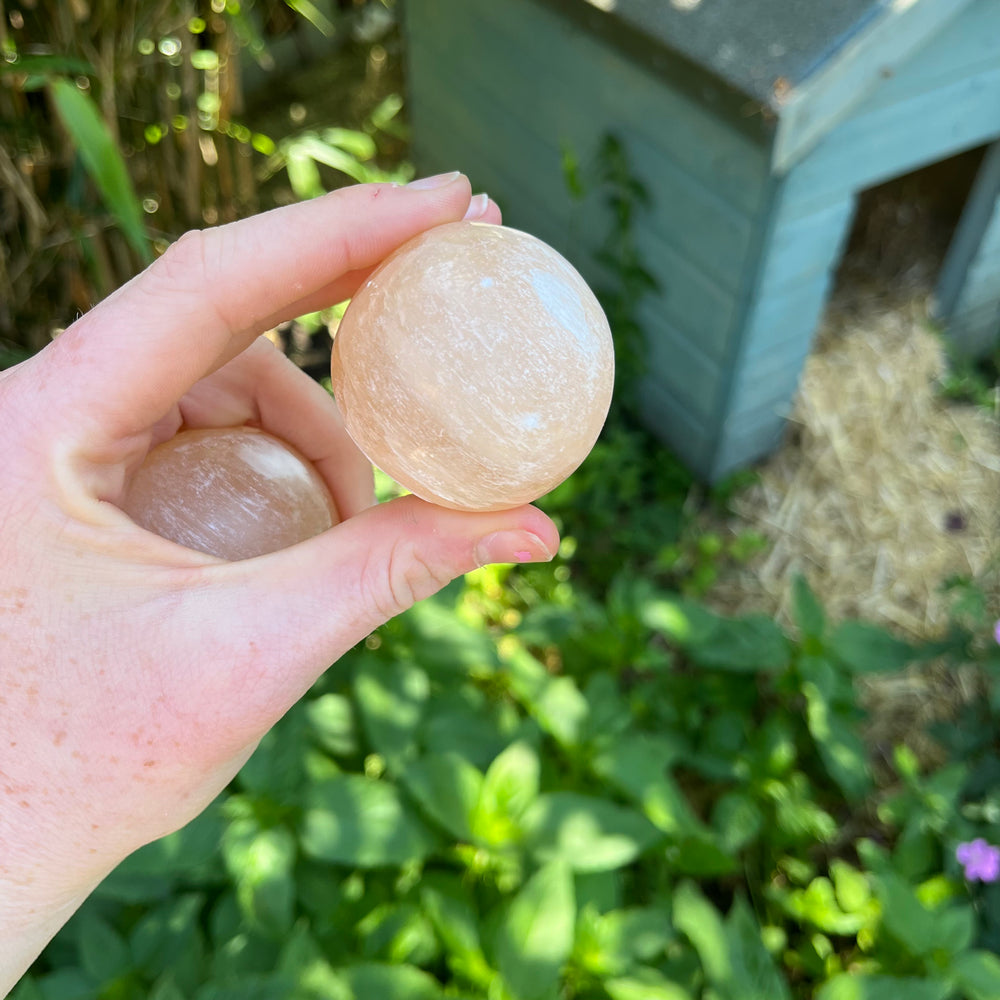 An outdoor shot of a hand displaying two small Peach Selenite gemstone orbs against a garden backdrop, highlighting their round symmetry and approximate 5-centimetre size scale.