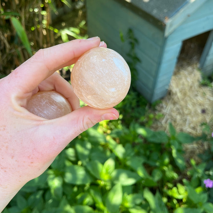 An outdoor shot of a hand displaying two small Peach Selenite gemstone orbs against a garden backdrop, highlighting their round symmetry and approximate 5-centimetre size scale.