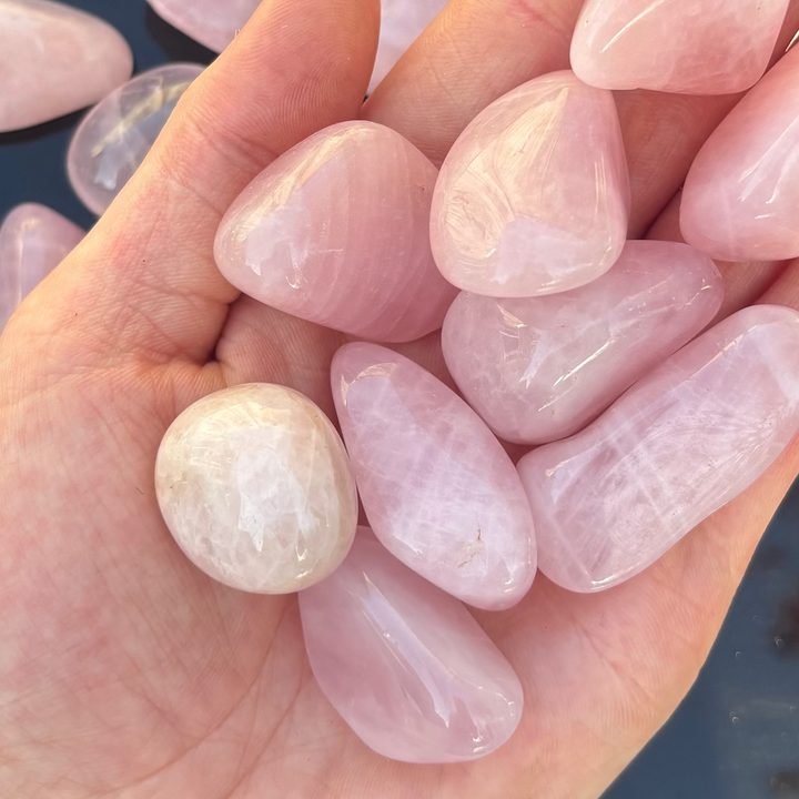 A close-up view of a hand cradling glossy pink rose quartz tumbled gemstones under soft lighting, revealing the glass-like texture and comforting weight of each piece used to support unconditional love and self-care.