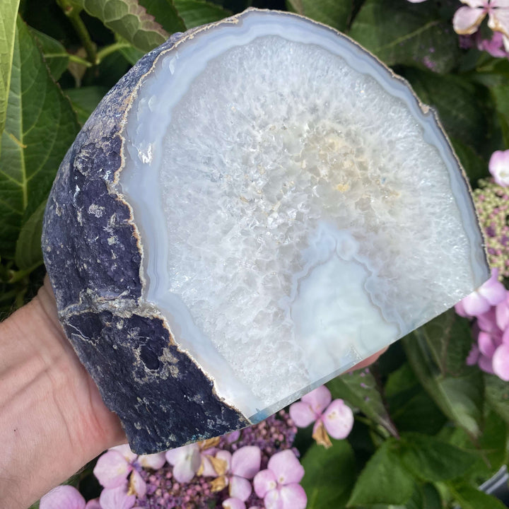 An angled close-up view of the polished agate slice face held up against green garden leaves. The natural daylight accentuates a central burst of pale yellow quartz crystals and faint blue pooling lines ideal for high-vibration focus spaces.
