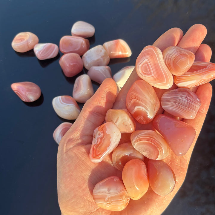 An open hand holding several rounded Apricot Agate pocket stones next to a scattered pile on a black surface, displaying their glossy, light-reflecting faces under bright daylight.