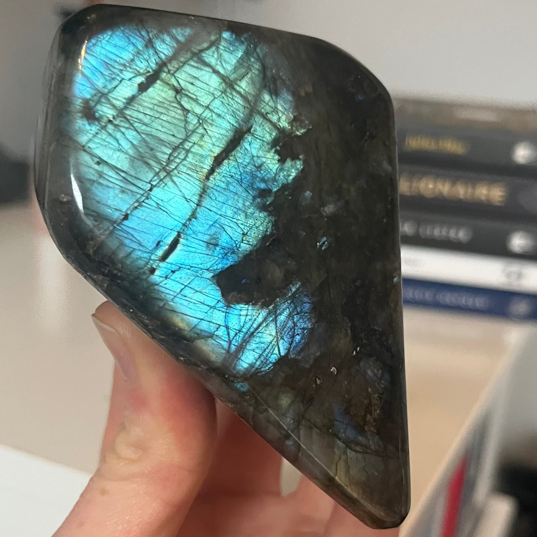 A hand holding a polished labradorite freeform crystal statement piece close up, showing an asymmetric silhouette with a vibrant blue and green iridescent flash across its dark grey base, styled indoors in front of a shelf with books.