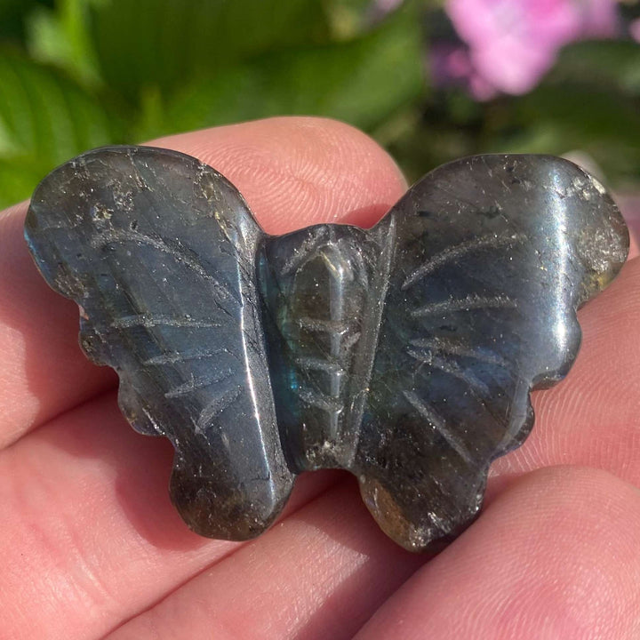 An outdoor profile shot of the polished labradorite stone butterfly charm cradled on fingertips. This angle showcases the detailed carved structural lines of the smoky grey insect carving, emphasizing its smooth, sleek finish and quiet, comforting weight as a pocket companion.
