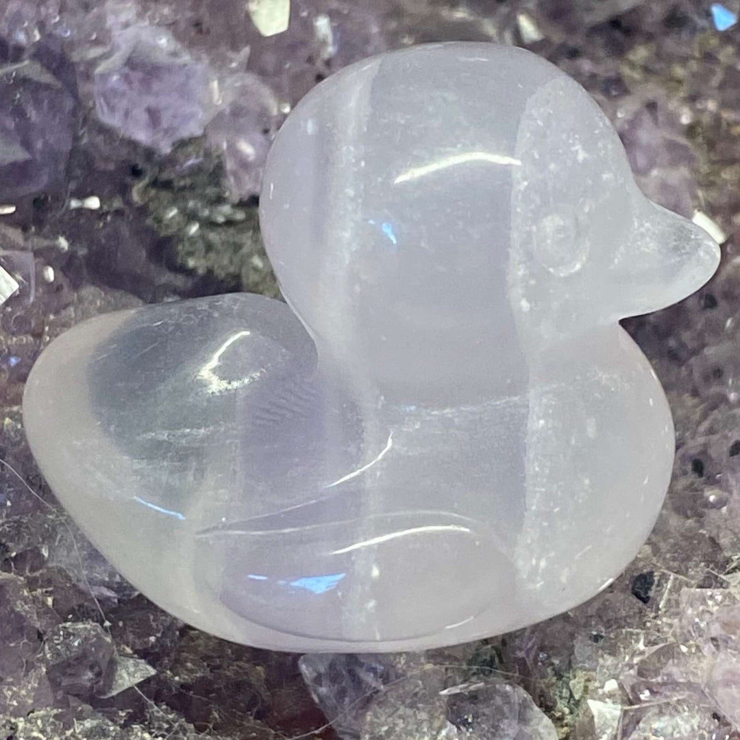 A close-up view of the small, polished Rainbow Fluorite Duck Carving sitting flat. The translucent gemstone animal figurine showcases delicate milky-white and icy purple banding lines across its smooth, glossy body, resting beautifully on a bed of raw purple amethyst points.