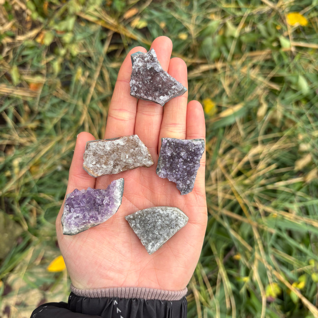 A person holding several unique raw purple amethyst crystal fridge magnets in an open palm against a grassy background.
