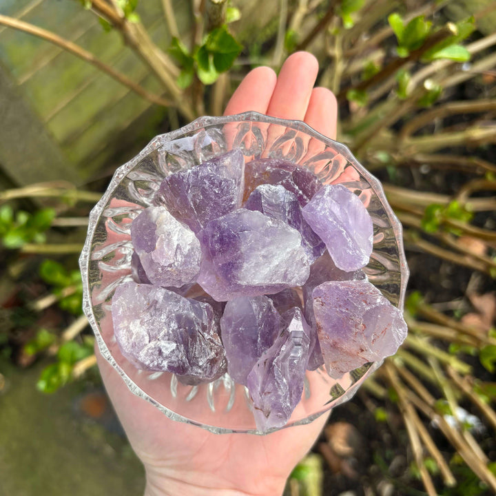 An outdoor high-angle shot showing a decorative, clear textured glass dish filled with mini purple Amethyst chunks held in an open hand. The lifestyle framing captures the small, pocket-sized scale of the stones against a soft-focus background of green garden foliage.