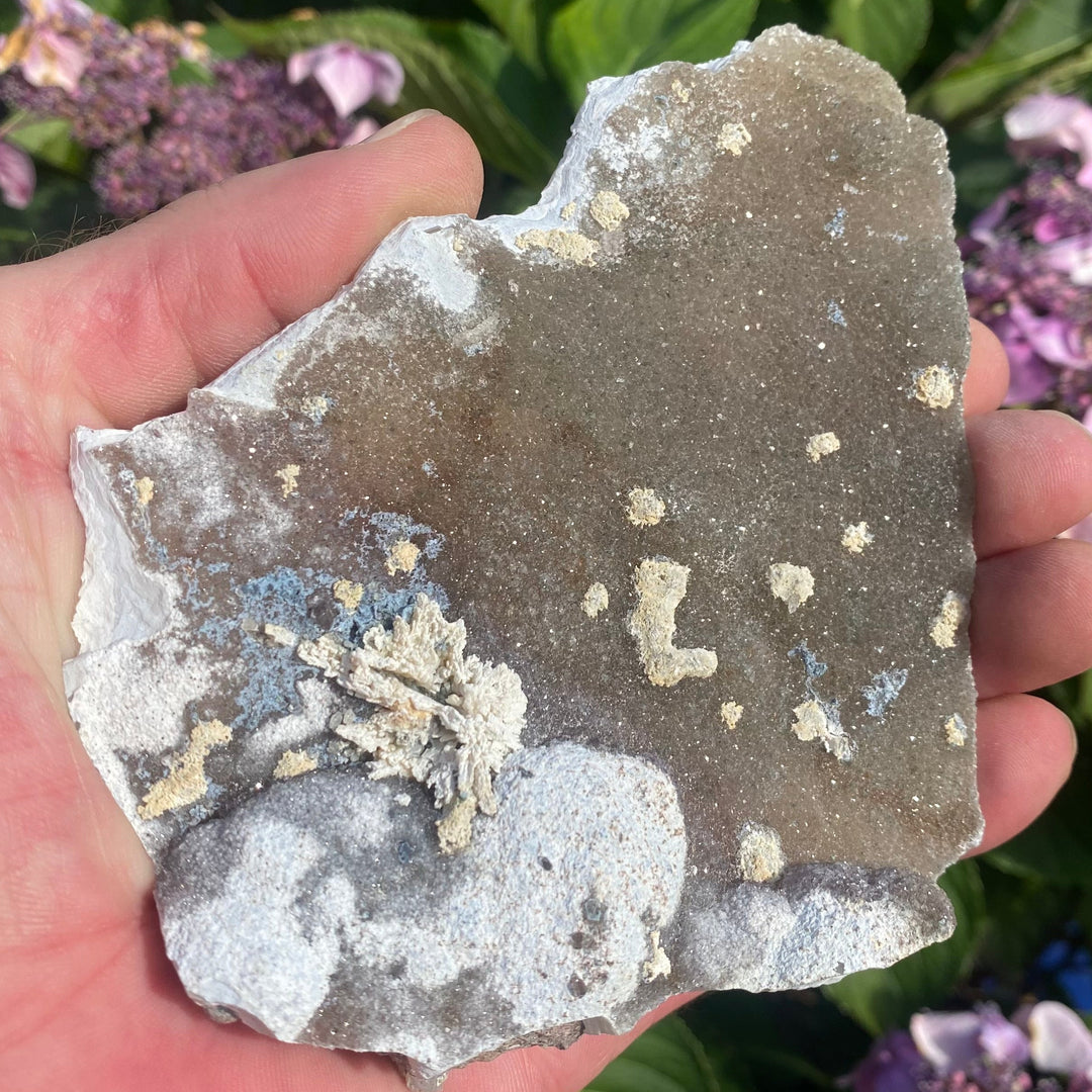 A raw Basalt crystal slab held in an open hand, showcasing its flat dark grey matrix face cradling soft white Zeolite mineral clusters and texturised natural formations against purple garden flowers.