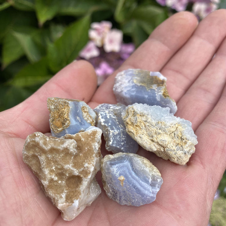 A close-up view of six raw blue lace agate crystal specimens held in an open palm, highlighting their natural brown matrix and light blue bandings against blurred green garden foliage.
