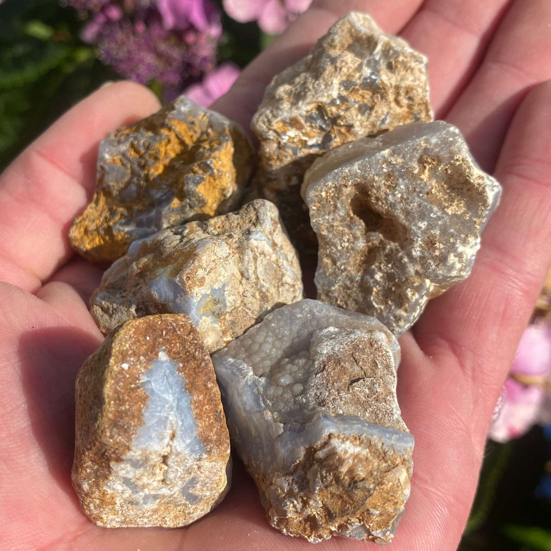 A close-up view of a handful of raw Blue Lace Agate crystal chunks held in an open palm. The stones showcase their rough unpolished edges, sandy brown and golden-ochre outer rinds, and distinctive pale blue colour bands contrasting against a blurred background of pink garden flowers.