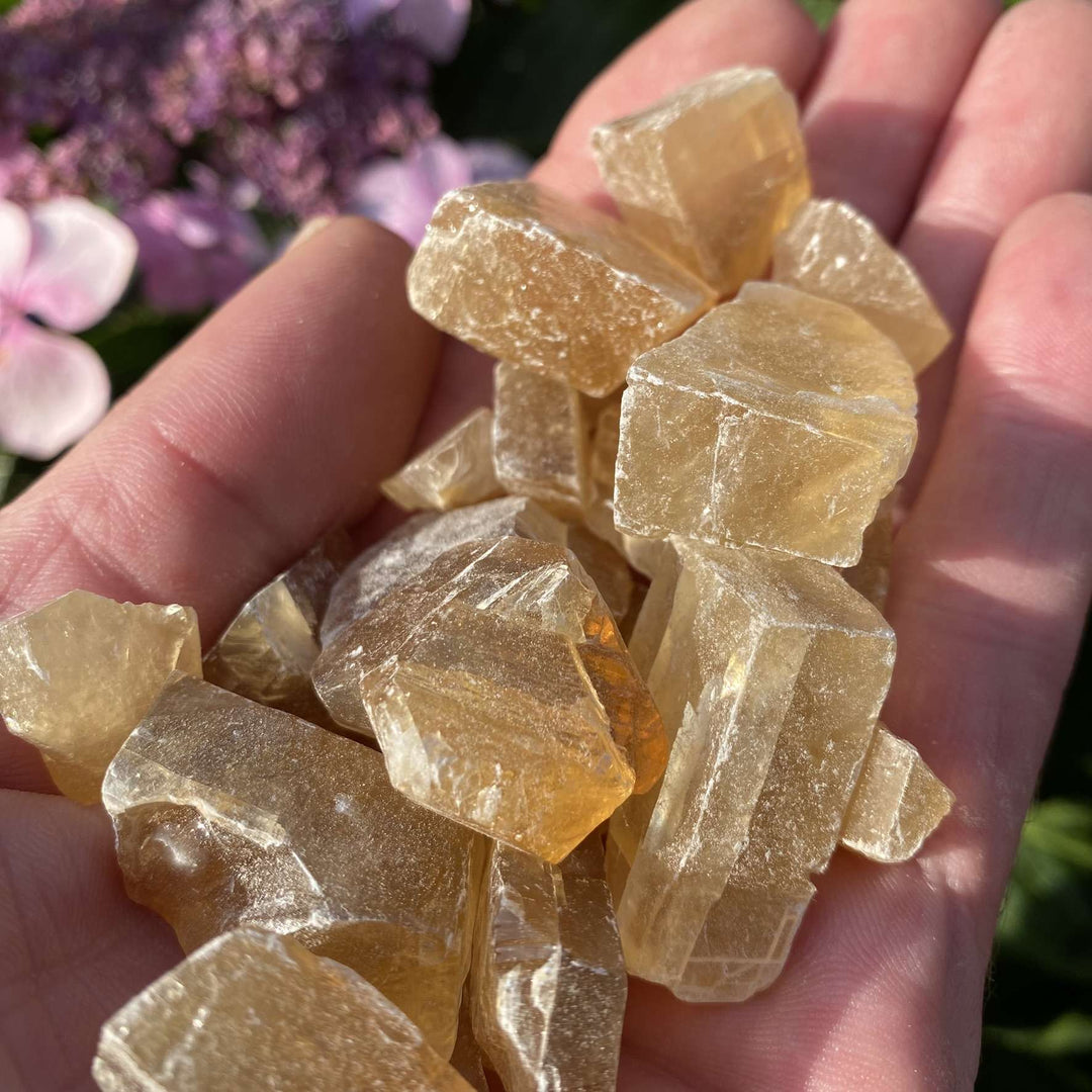 A handful of unpolished raw Citrine crystals cradled in an open palm outdoors, showcasing their crisp, rhombohedral block shapes and bright honey-gold colour glow against pink garden flowers.