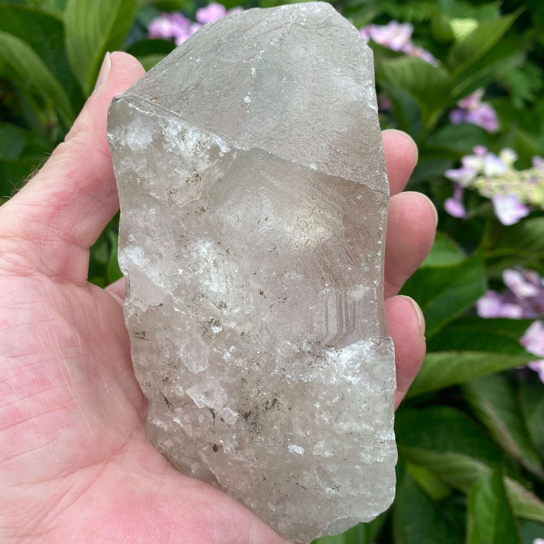 An open hand holding a large raw Clear Quartz crystal chunk upright, showcasing its icy, translucent form and frosted natural facets. The rugged, unpolished specimen is beautifully displayed against a premium background of green garden foliage and pink flowers, highlighting its Crown Chakra clarity-amplifying energy.
