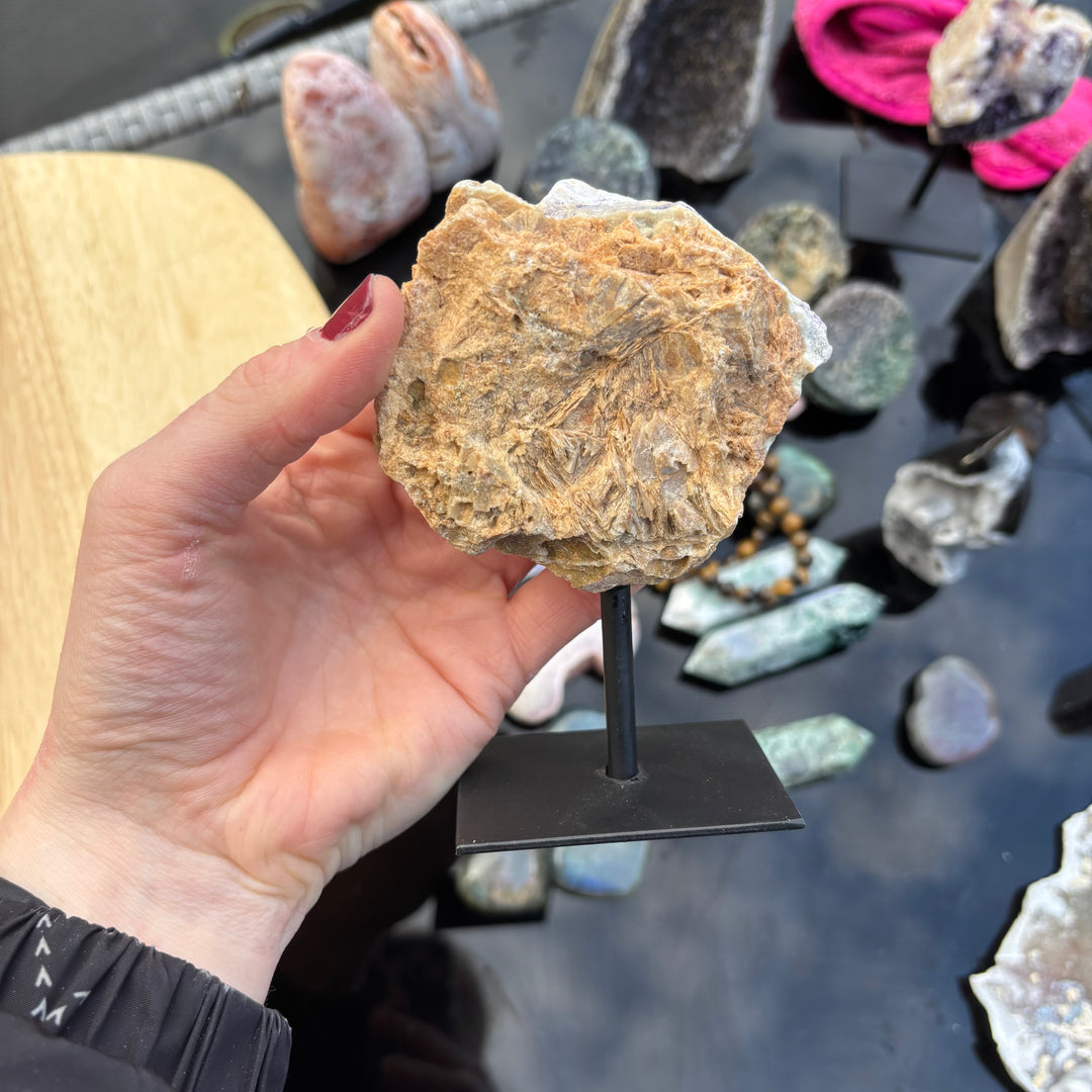 A close-up view looking down at a hand lifting the unpolished rock specimen to display its textured underside weight. Showing the true real-world scale of the crystal, this supportive geological treasure makes a wonderful gift for a student or anyone navigating a big life change who needs mental peace.