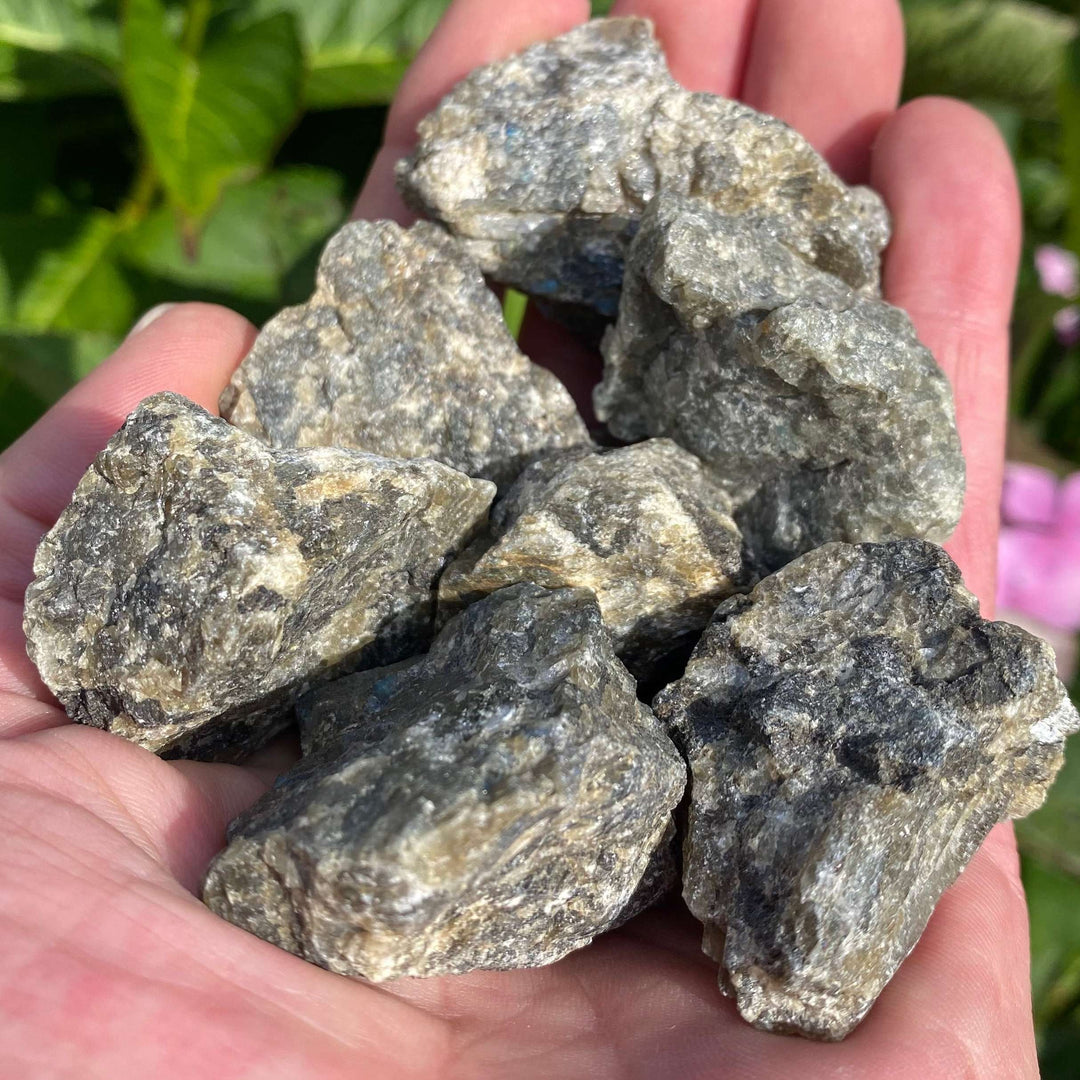 A close-up view of a handful of rough, unpolished raw Labradorite crystal chunks held in an open palm. The stones showcase their coarse, earthy textures and deep grey natural facets against a softly blurred backdrop of green garden leaves and pink flowers.
