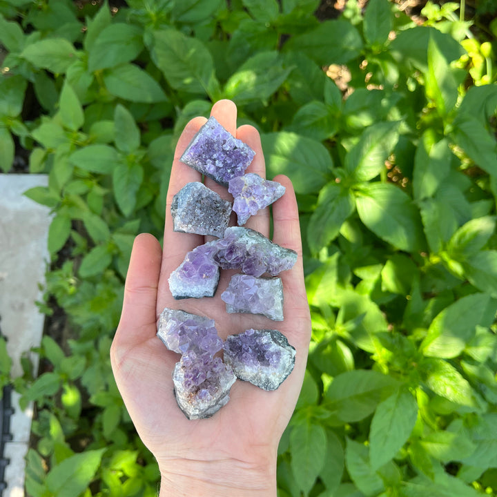 A high-angle outdoor shot of a hand held upright, filled with small, unpolished purple Amethyst crystal clusters. This lifestyle framing showcases the portable, pocket-sized scale of the tiny natural geode fragments against a vibrant backdrop of green leaves under bright daylight.