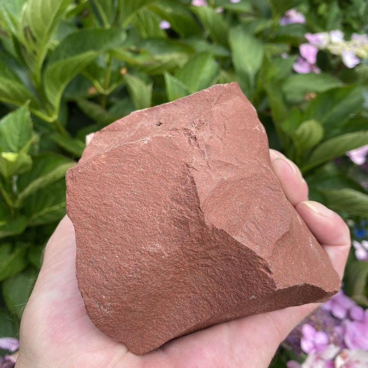A side profile perspective of the raw red jasper stone cradled in an open palm against green garden foliage. The image emphasizes the substantial size, organic contours, and comforting weight of this powerful root chakra crystal, making it a supportive wellness gift.
