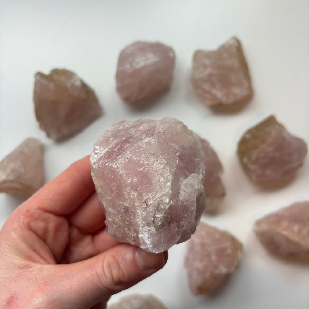 A hand lifting a rugged pink rose quartz crystal specimen from a scattered collection of unpolished raw stones on a white background.