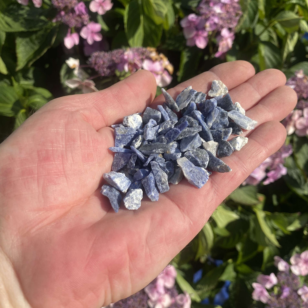 A pulled-back eye-level shot showing a handful of mini blue sodalite chips held over a vibrant backdrop of green leaves and pink garden flowers. The natural outdoor setting emphasizes their grounding connection to nature, presenting a lovely, thoughtful gift for a student.