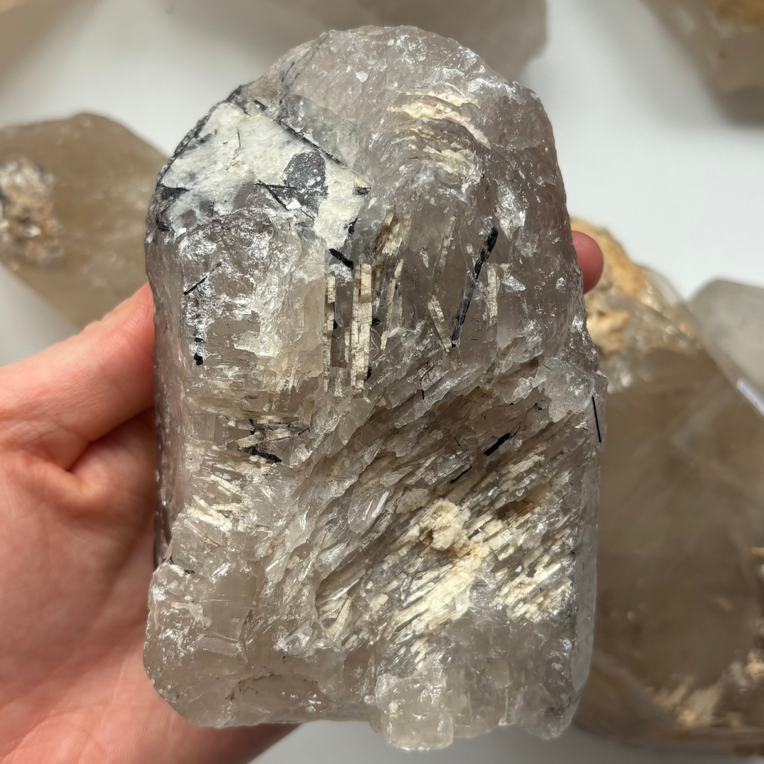 A hand holding a substantial 780-gram raw tourmaline in quartz crystal specimen over a white surface scattered with rough mineral points, displaying dark needle-like tourmaline strands embedded inside a chunky, unpolished smoky quartz matrix for Root and Crown Chakra anchoring.