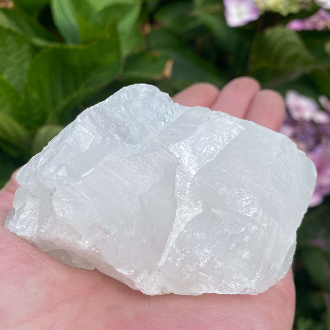 A close-up view of a substantial raw White Quartz crystal chunk resting comfortably in an open hand. The large rough stone showcases its unpolished shape, snowy white colour, frosty texture, and jagged natural facets against a blurred background of green foliage.
