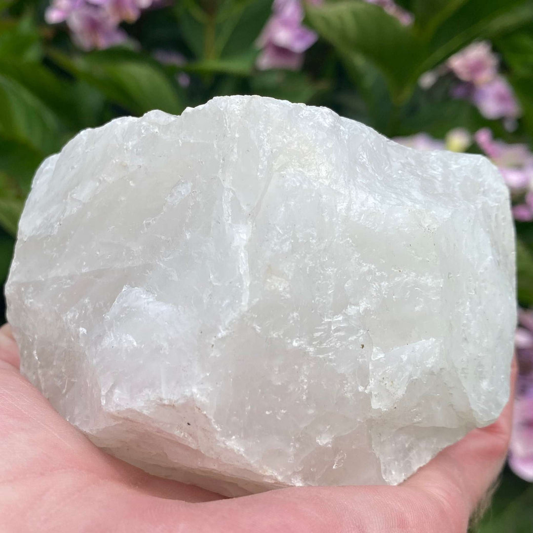 A close-up view of a substantial raw White Quartz crystal chunk resting comfortably in an open hand. The large rough stone showcases its unpolished shape, snowy white colour, frosty texture, and jagged natural facets against blurred garden foliage.

