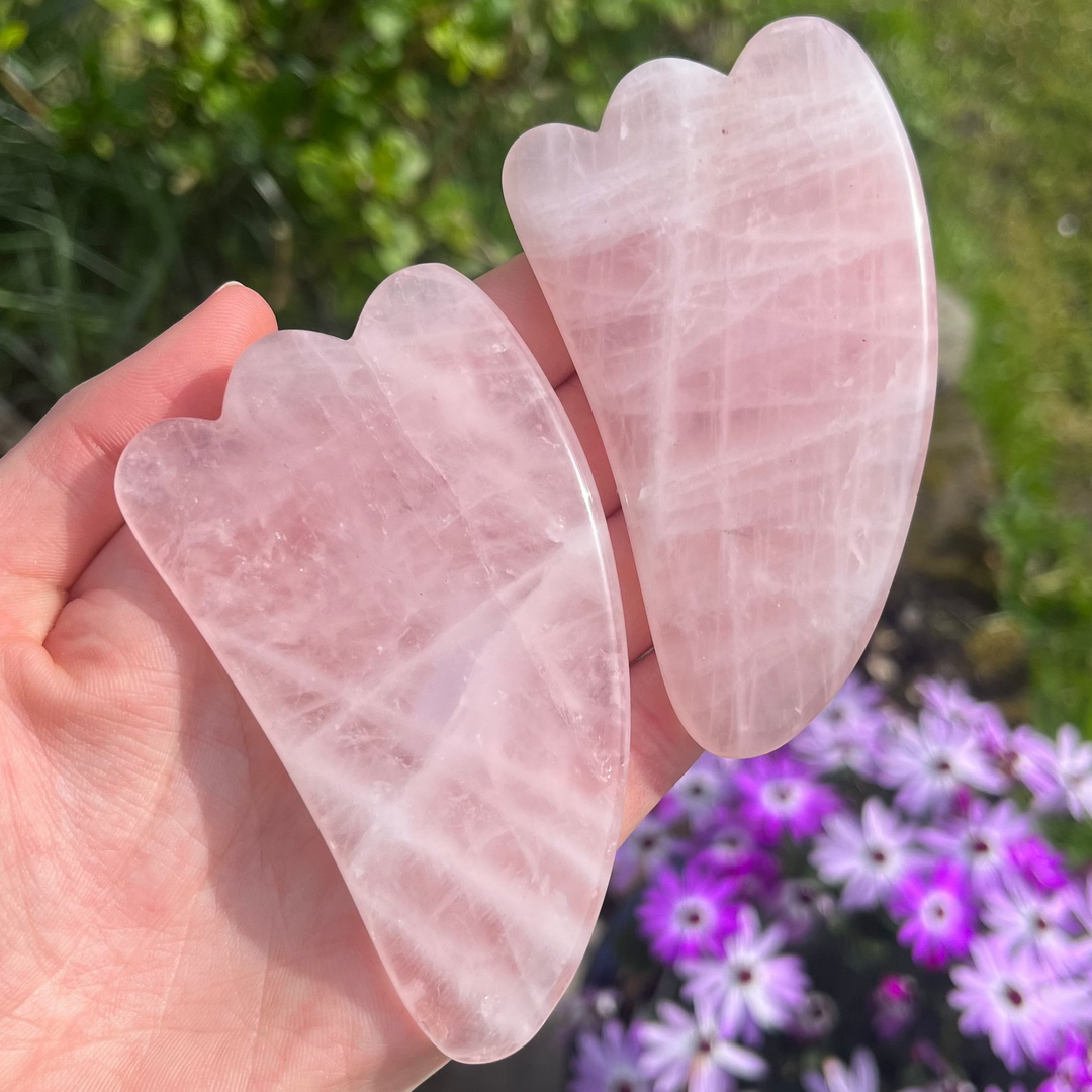 An open hand cradling two polished rose quartz crystal gua sha tools outdoors, showcasing their soft pink hues, smooth curved edges, and natural white internal veiling against a blurred background of purple garden flowers for Heart Chakra alignment.
