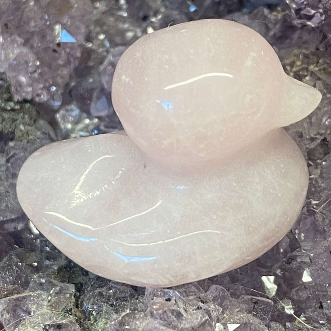 A close-up view of an adorable rose quartz duck carving, showcasing its polished, smooth texture and delicate translucent pastel pink hue. The 3cm miniature figurine is cradled on a bed of raw purple amethyst crystal points, radiating a soothing aura of gentle love and compassion.