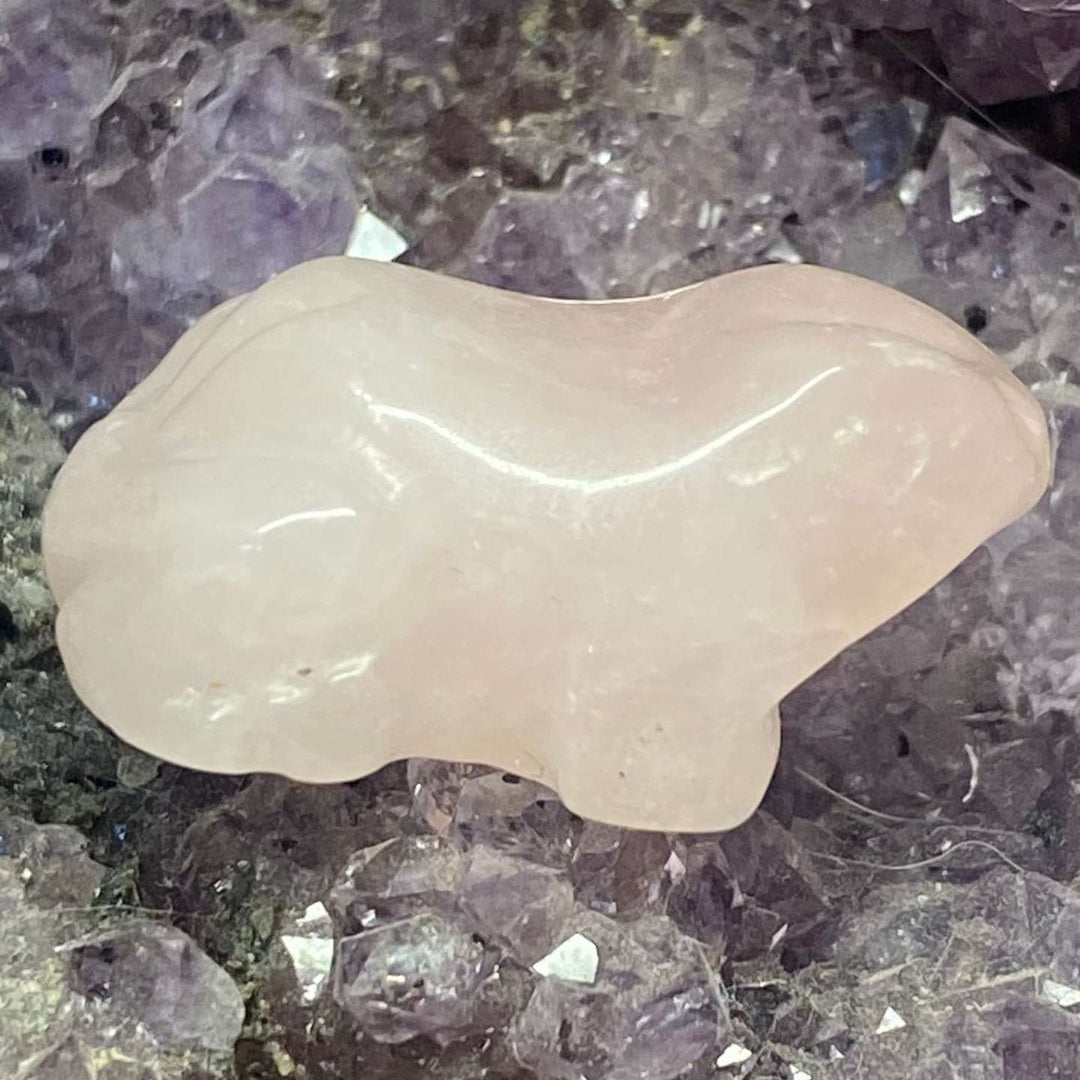 A close-up view of an adorable rose quartz frog carving, showing off its beautifully polished, smooth texture and soft translucent pink hue. The miniature gemstone animal sits on a bed of raw purple amethyst crystal druzy, radiating sweet love, compassion, and gentle heart energy.