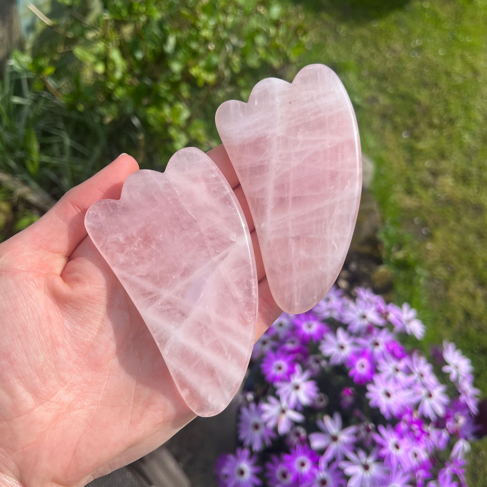 A hand presenting two rose quartz gua sha massage tools at a distance over sunlit garden grass and purple flowers, illustrating the physical 8x5cm sizing scale and glassy, translucent quality of these traditional beauty stones.
