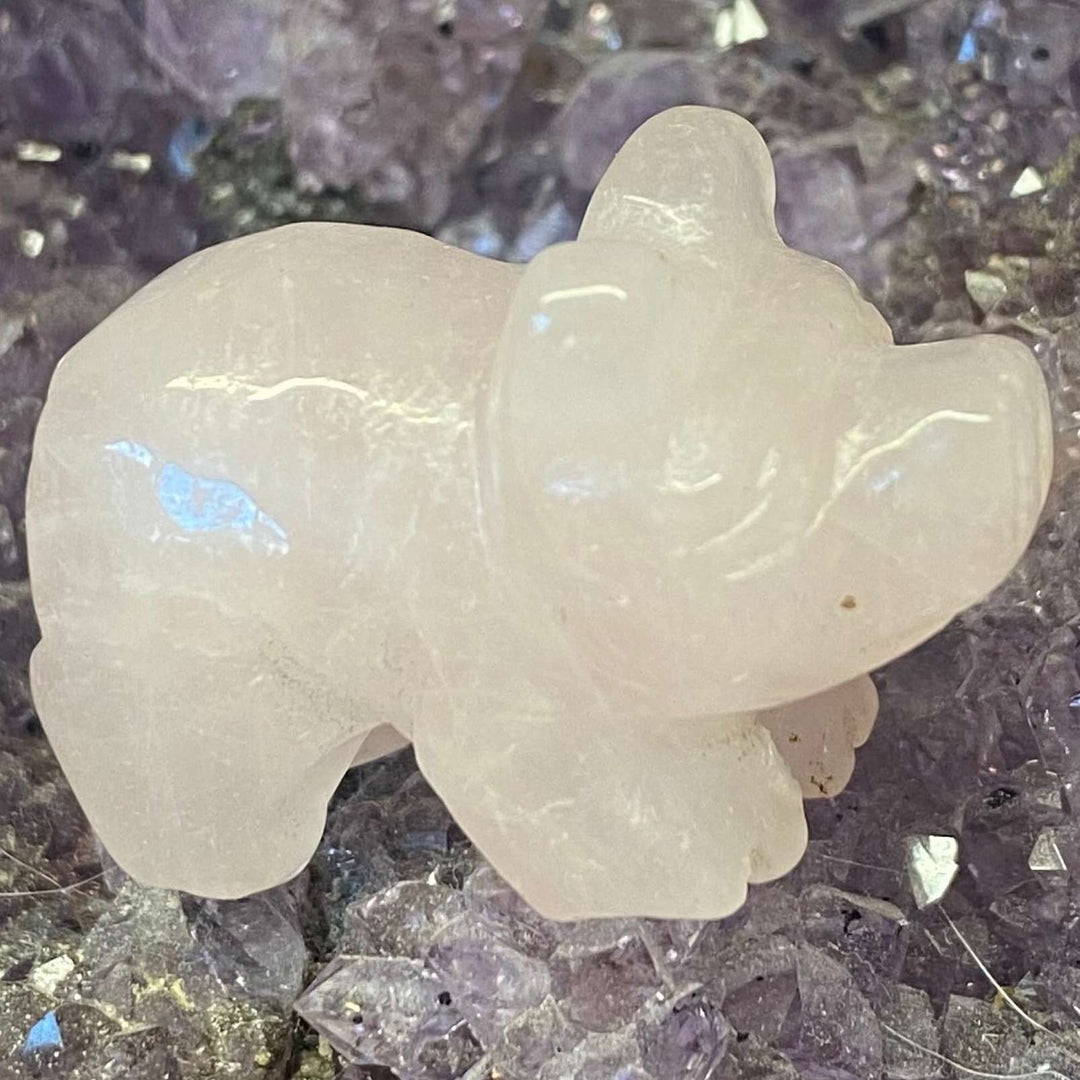 A close-up view of an adorable rose quartz pig carving, showing its smooth, polished texture and soft milky-pink hue. The 3cm miniature gemstone figurine rests gracefully on a bed of raw purple amethyst matrix, radiating themes of gentle comfort, heart chakra alignment, and self-love.