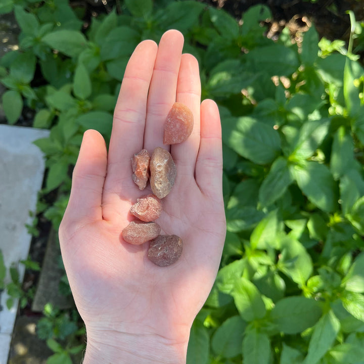 A hand presenting a small group of rough carnelian pocket stones at a wider distance outdoors over garden foliage, demonstrating the compact 1cm physical sizing scale of these unpolished earthly treasures.